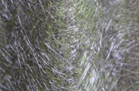 Itchen fibreglass roof work